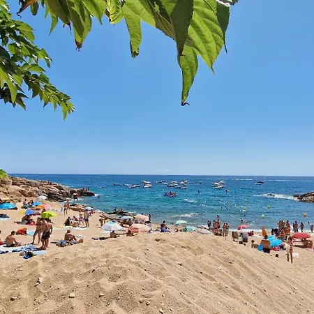 Apartment Cala Salions Galeon *